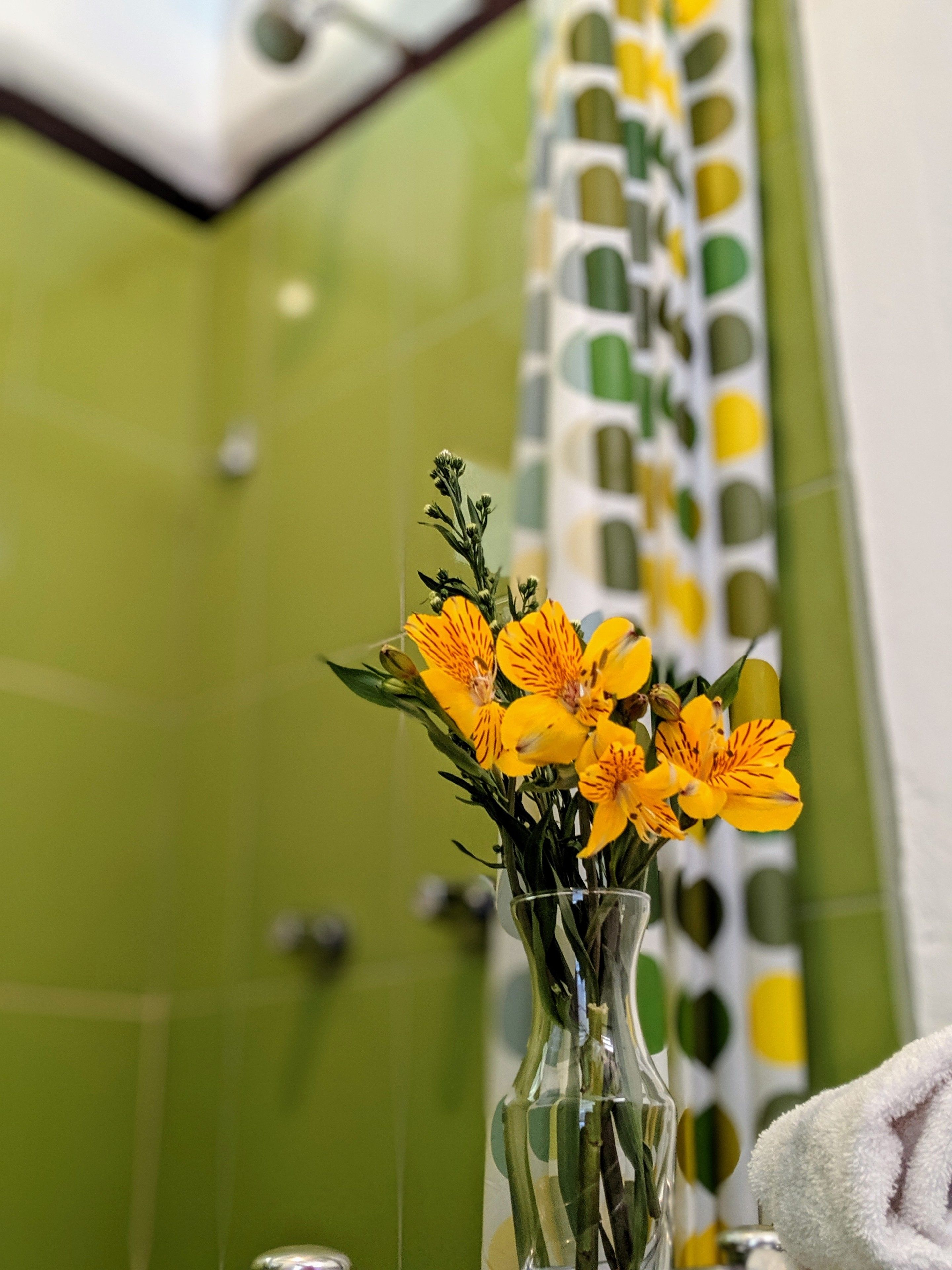 Hostal Venus de Valdivia