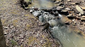 A cabin with a deck overlooking a rocky stream in a forest. - WOW‼️CREEKSIDE 3KINGS-Sleeps 10 🐩🐕Dogs🫶 Near DTown,Orchard,Rivers,Vineyard,Hiking (Blue Ridge)