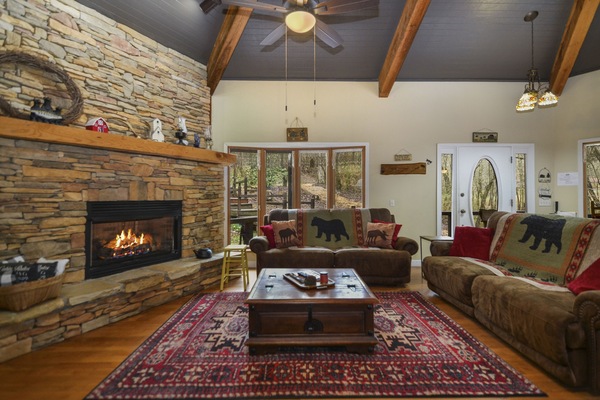 TV connectée, cheminée, livres, chaßne hi-fi