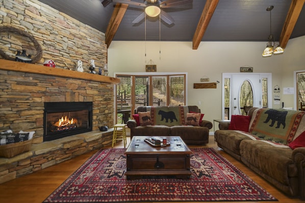 Smart TV, fireplace, books, stereo