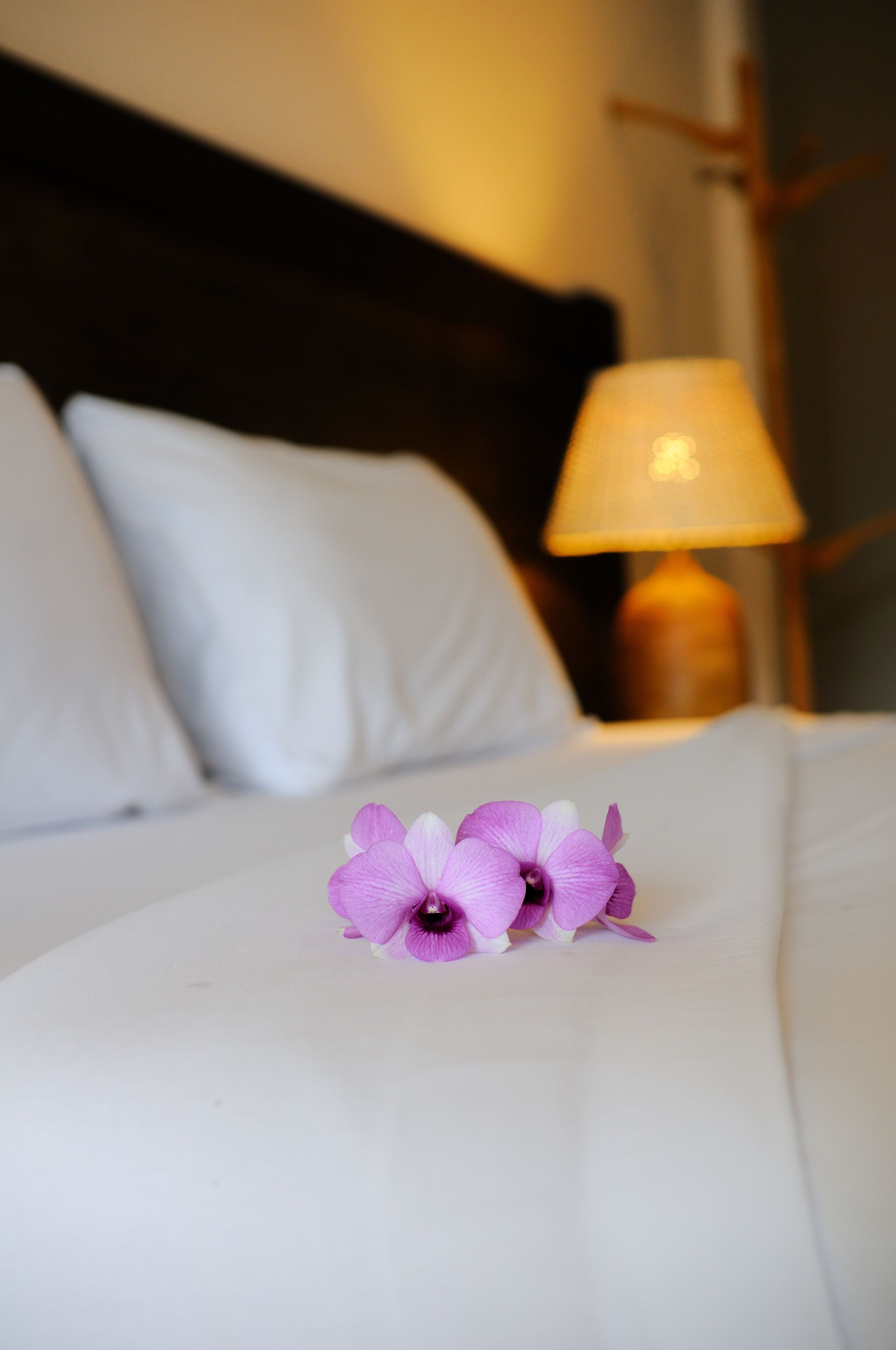 superior double room with balcony | minibar, desk, blackout curtains, free wifi