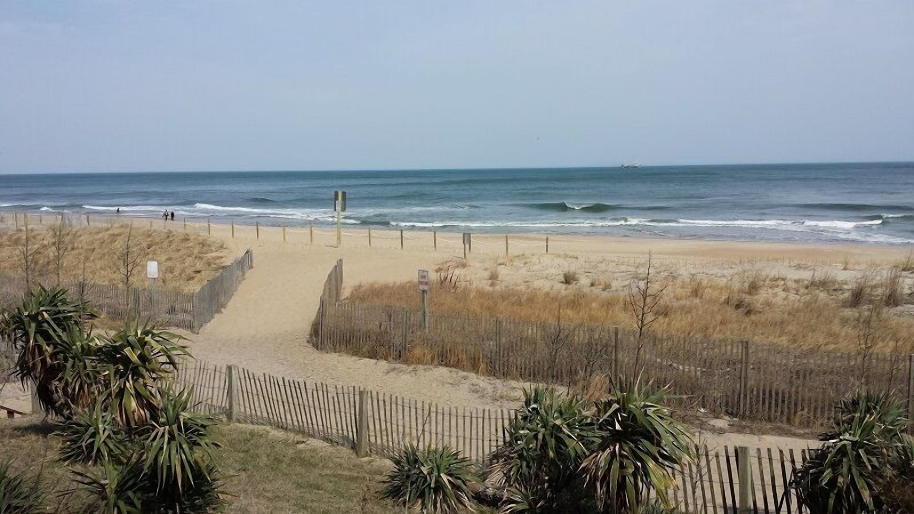 A beach with a wooden fence, a sandy path leading to the water, and some vegetation in the foreground.