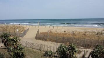 A beach with a wooden fence, a sandy path leading to the water, and some vegetation in the foreground.