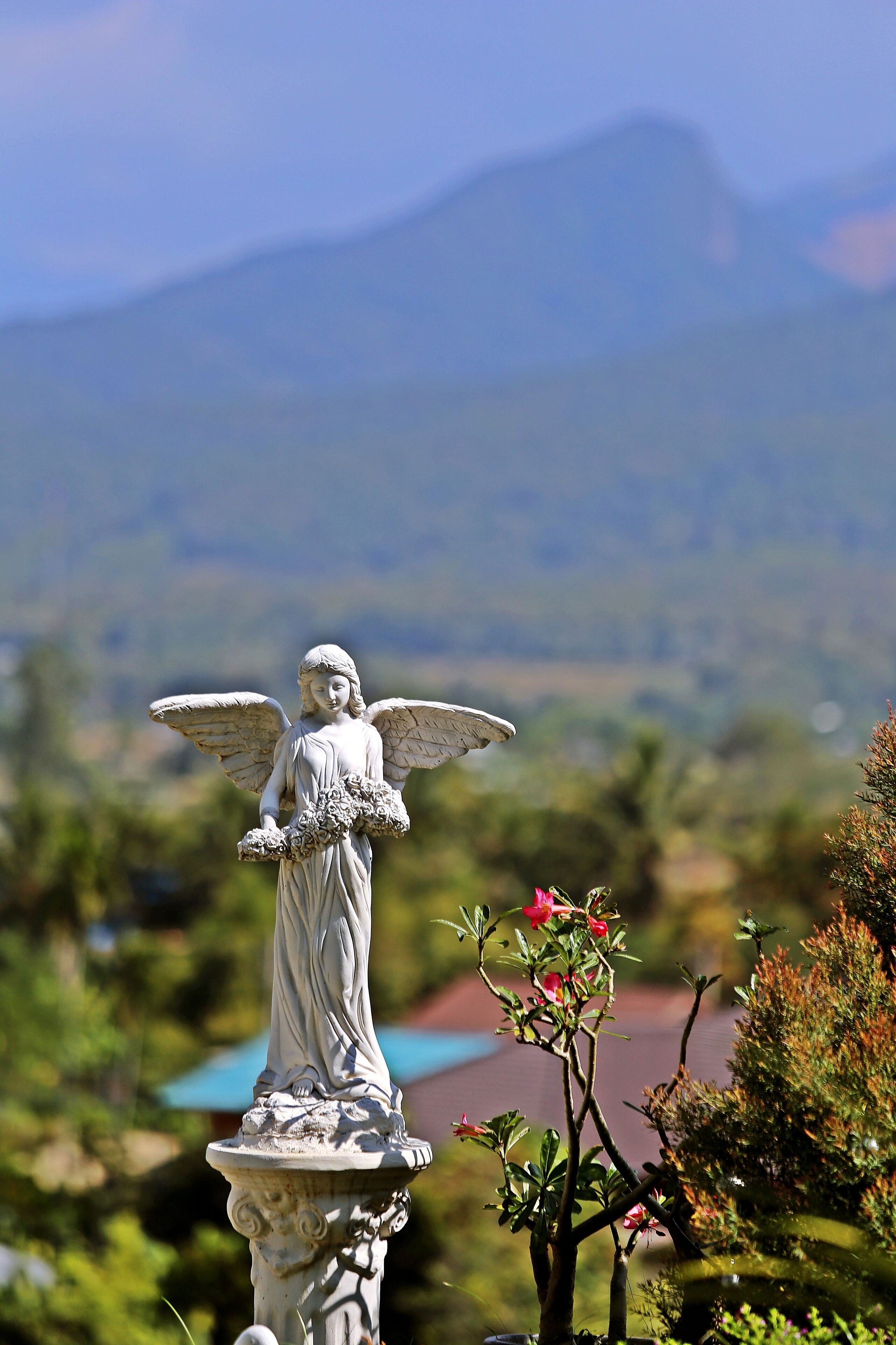A statue of an angel with wings, standing on a pedestal, surrounded by greenery and a mountain in the background.