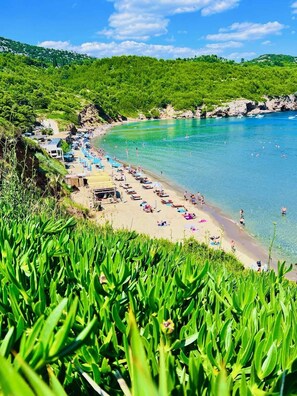 Una playa con aguas turquesas cristalinas, una orilla arenosa y colinas verdes exuberantes al fondo.