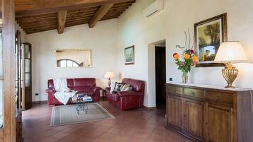 Fernseher, Kamin, DVD-Player, BĂŒcher