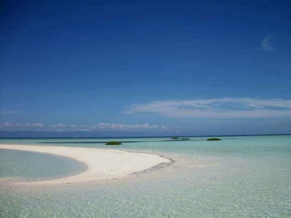 Playa en los alrededores y pesca 