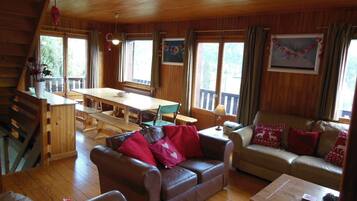 TV, fireplace, video games, DVD player