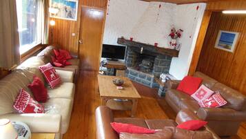 Télévision, cheminée, jeux vidéo, lecteur de DVD