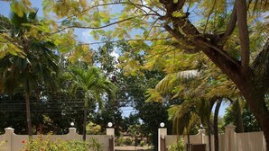 Una entrada protegida por una reja a una propiedad rodeada de abundante vegetación y palmeras.