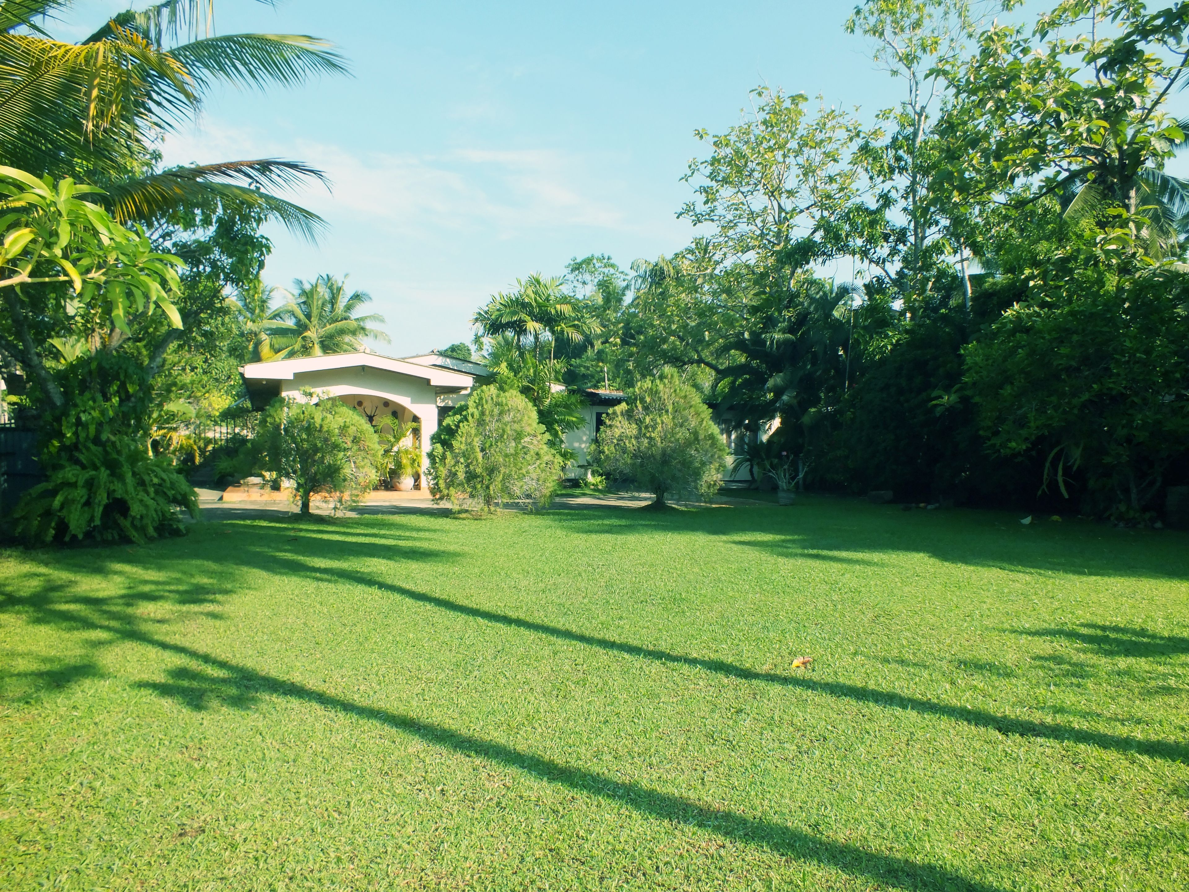 A well-maintained grassy area with a white gazebo and palm trees.