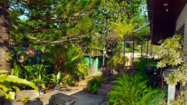 A garden with various plants, a stone bench, and a metal fence. - River Side Villa (Galle)