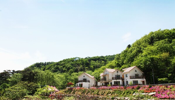 Exterior - Art-lu pension (Gapyeong)