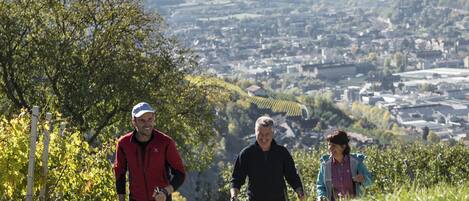 Un grupo de personas caminando por un sendero con una ciudad y montañas al fondo.
