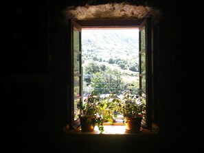 Mountain view - Hotel Rural Genestoso (Cangas del Narcea)