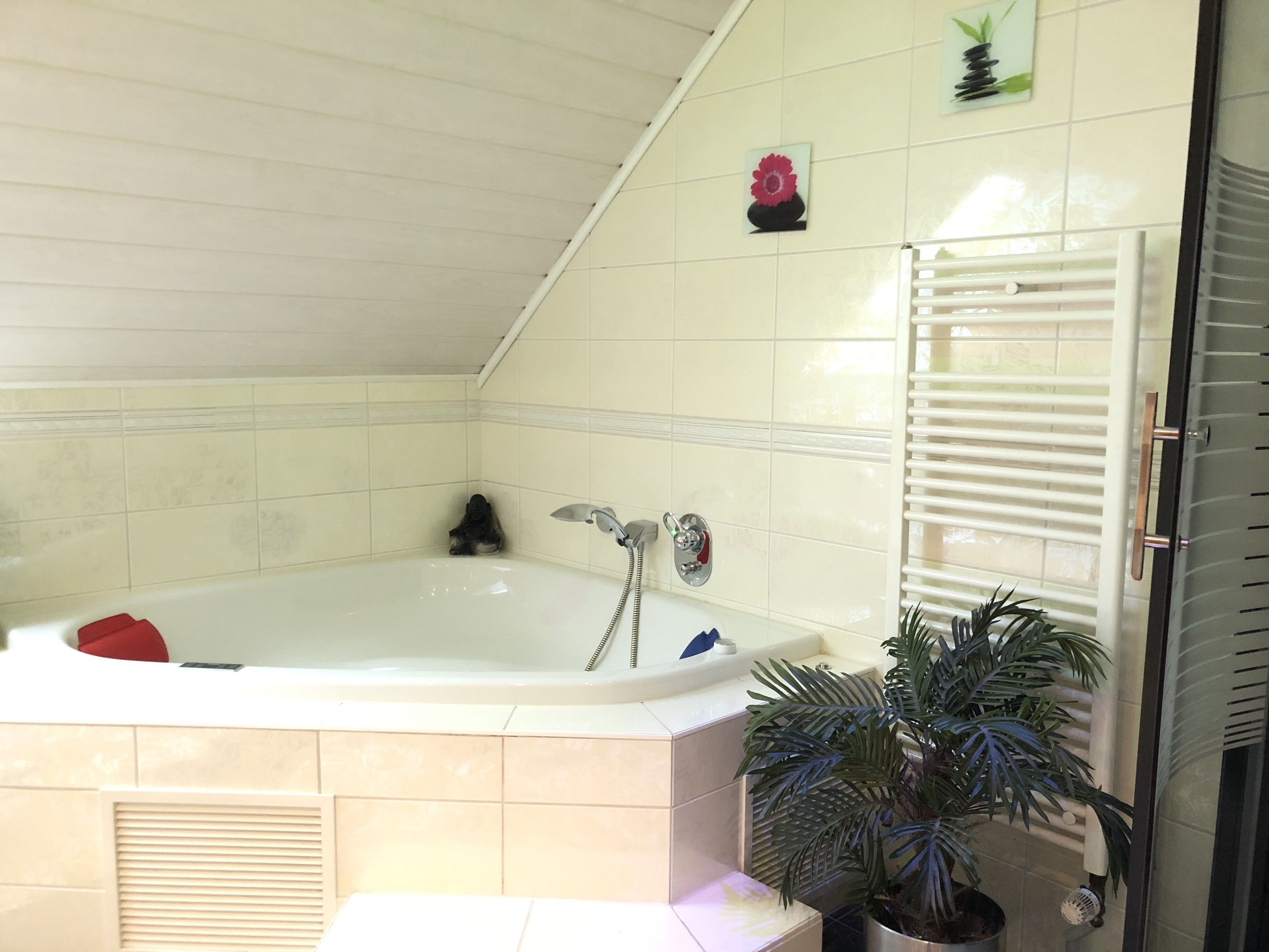 A bathroom with a bathtub, a shower, and a potted plant.