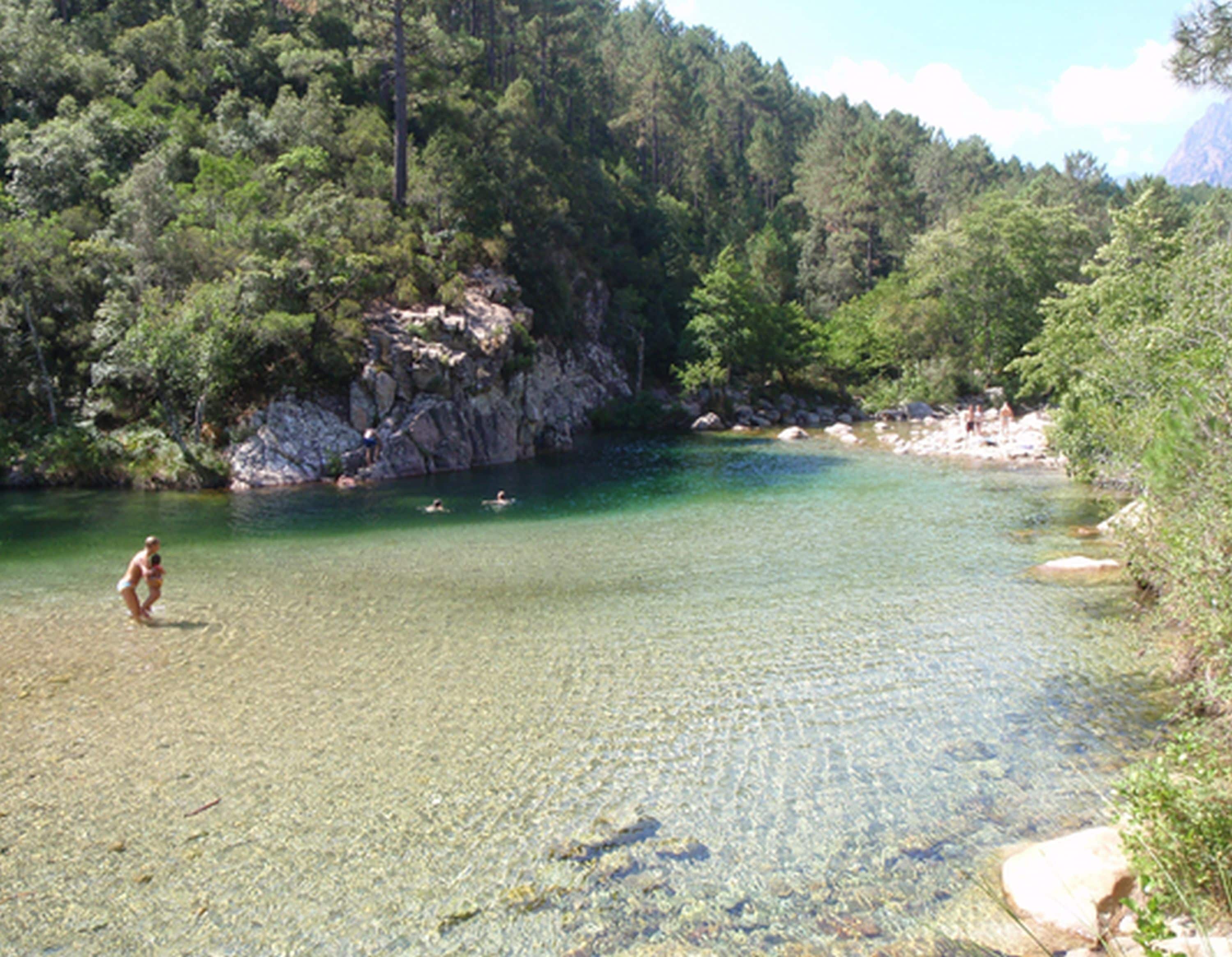 A clear, shallow river surrounded by dense forest and rocky terrain.