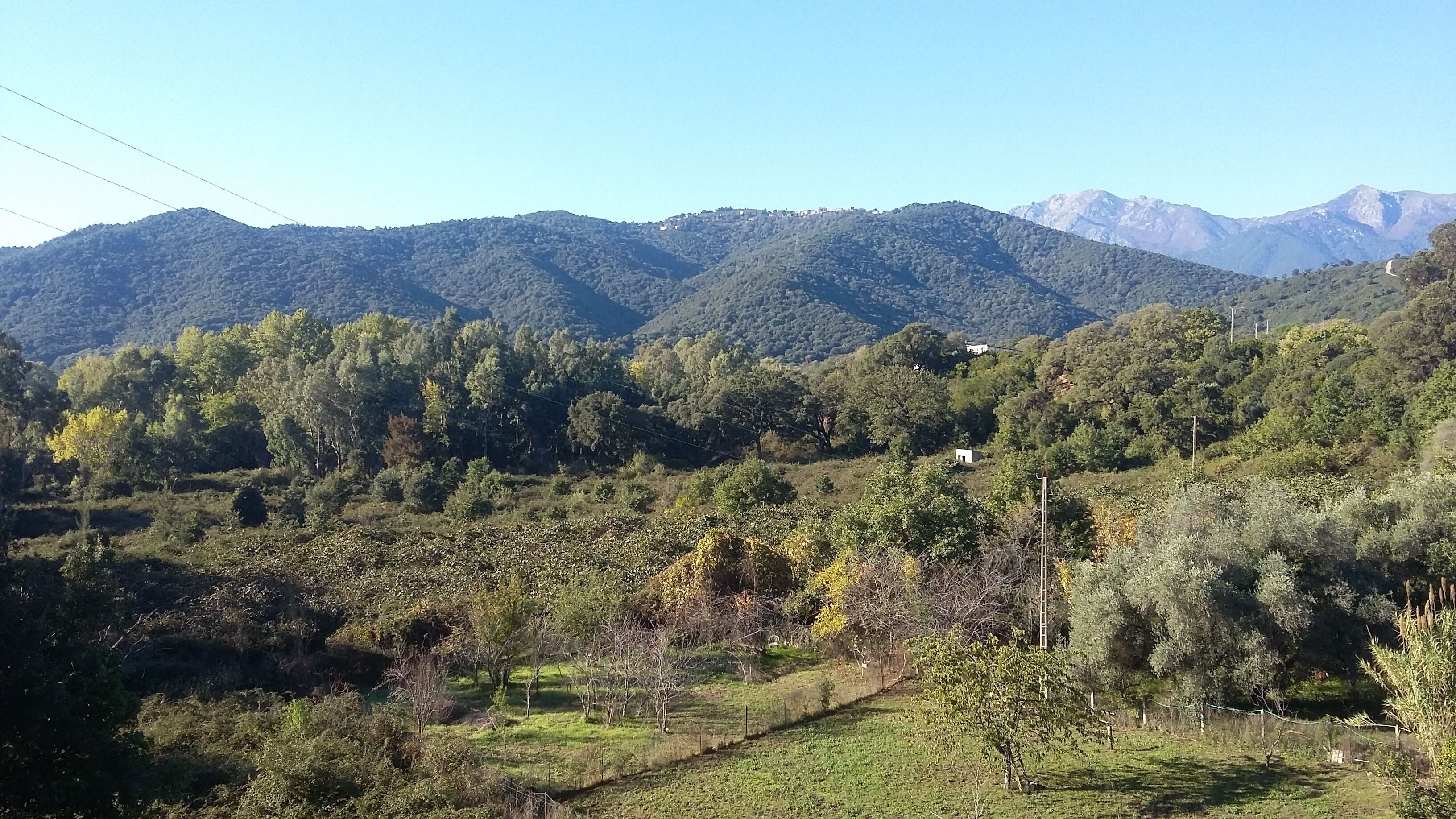 Paisagem montanhosa com florestas densas e céu claro.