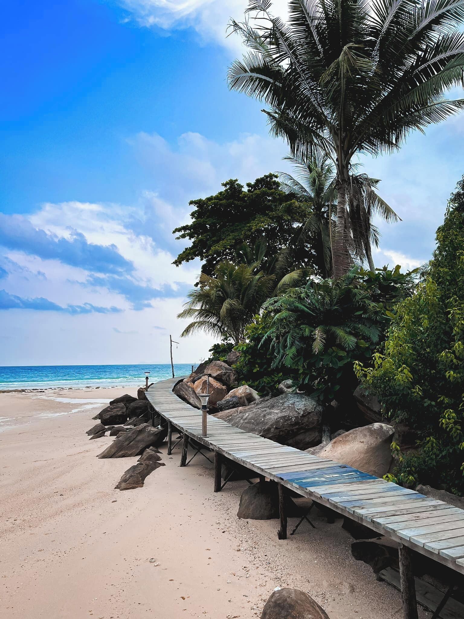 A wooden boardwalk leading to a beach with a palm tree and rocky outcrops.