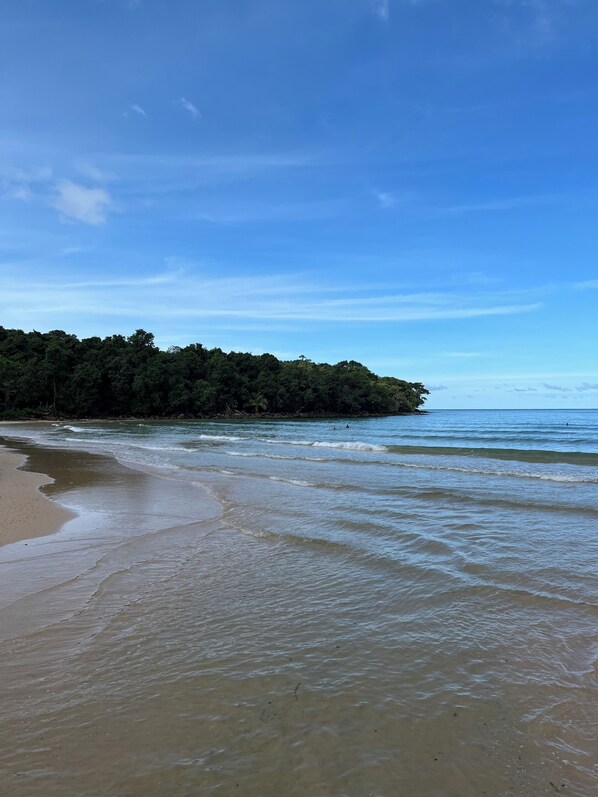A beach with clear blue water, a sandy shore, and a forested area in the background.