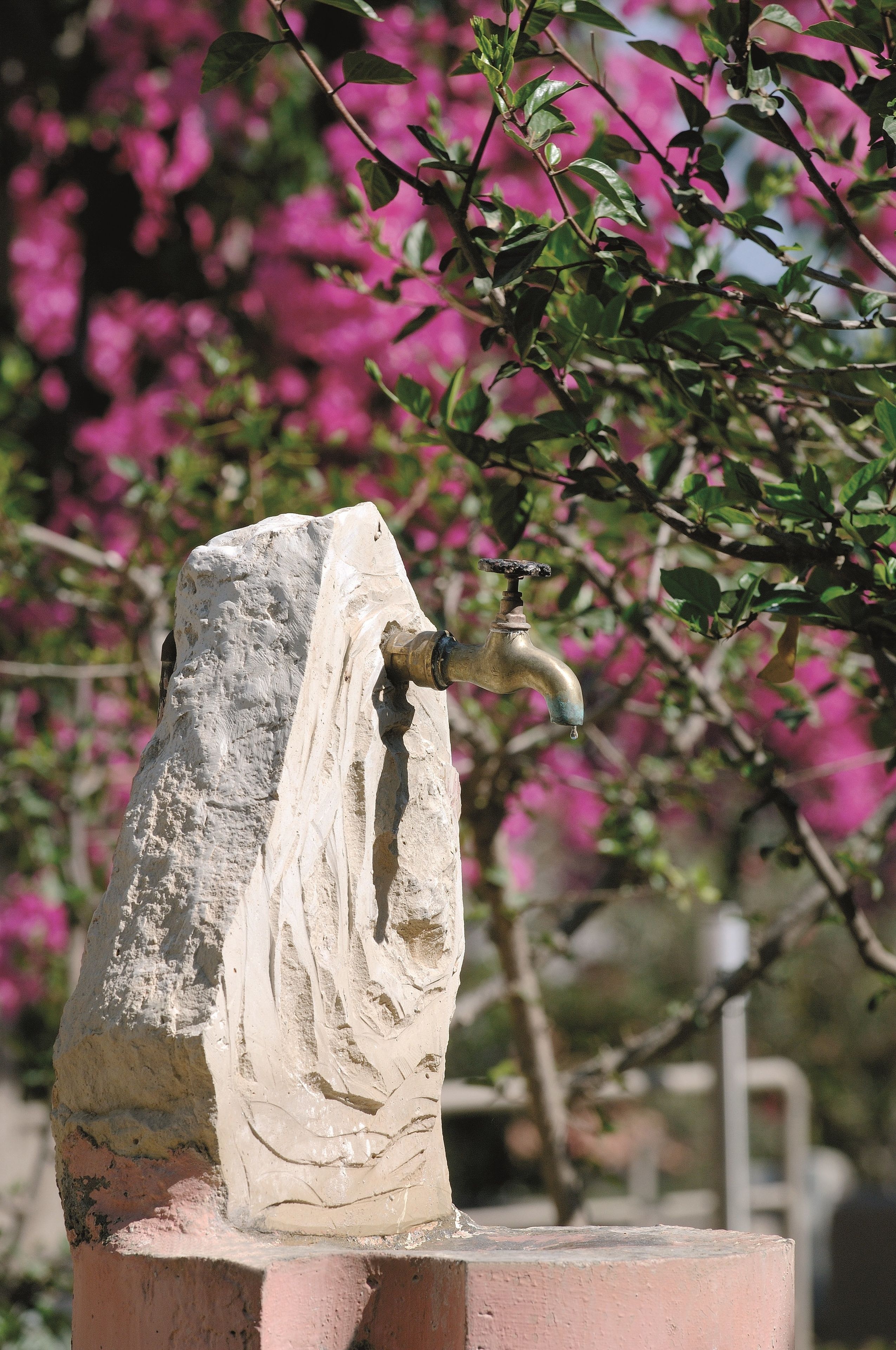 Foto - Paradise Island Villas