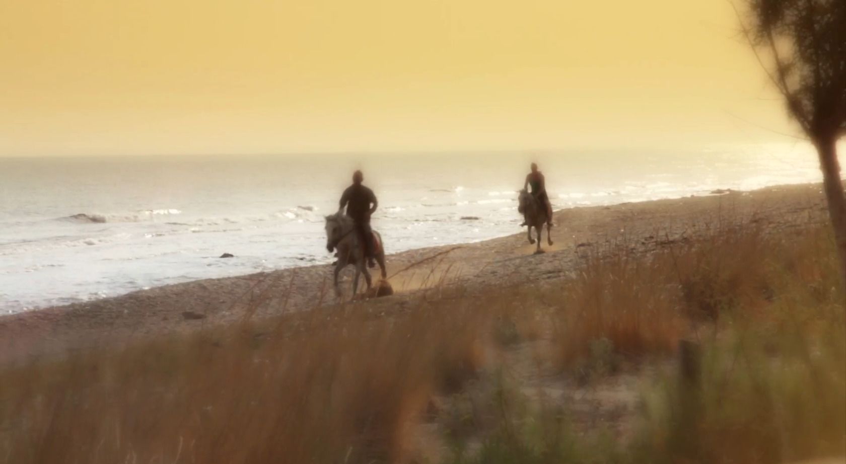 Foto - Paradise Island Villas