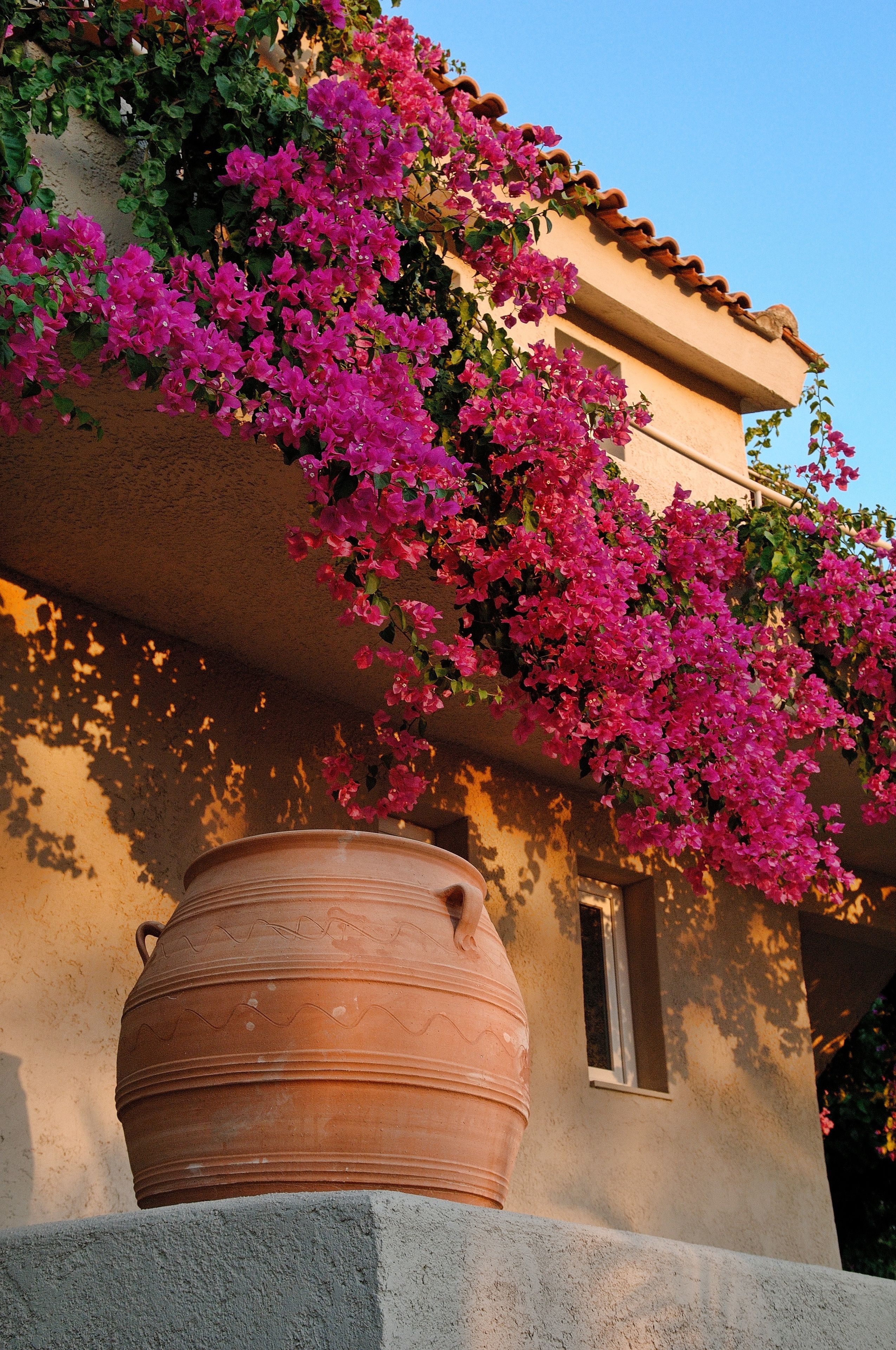 Foto - Paradise Island Villas