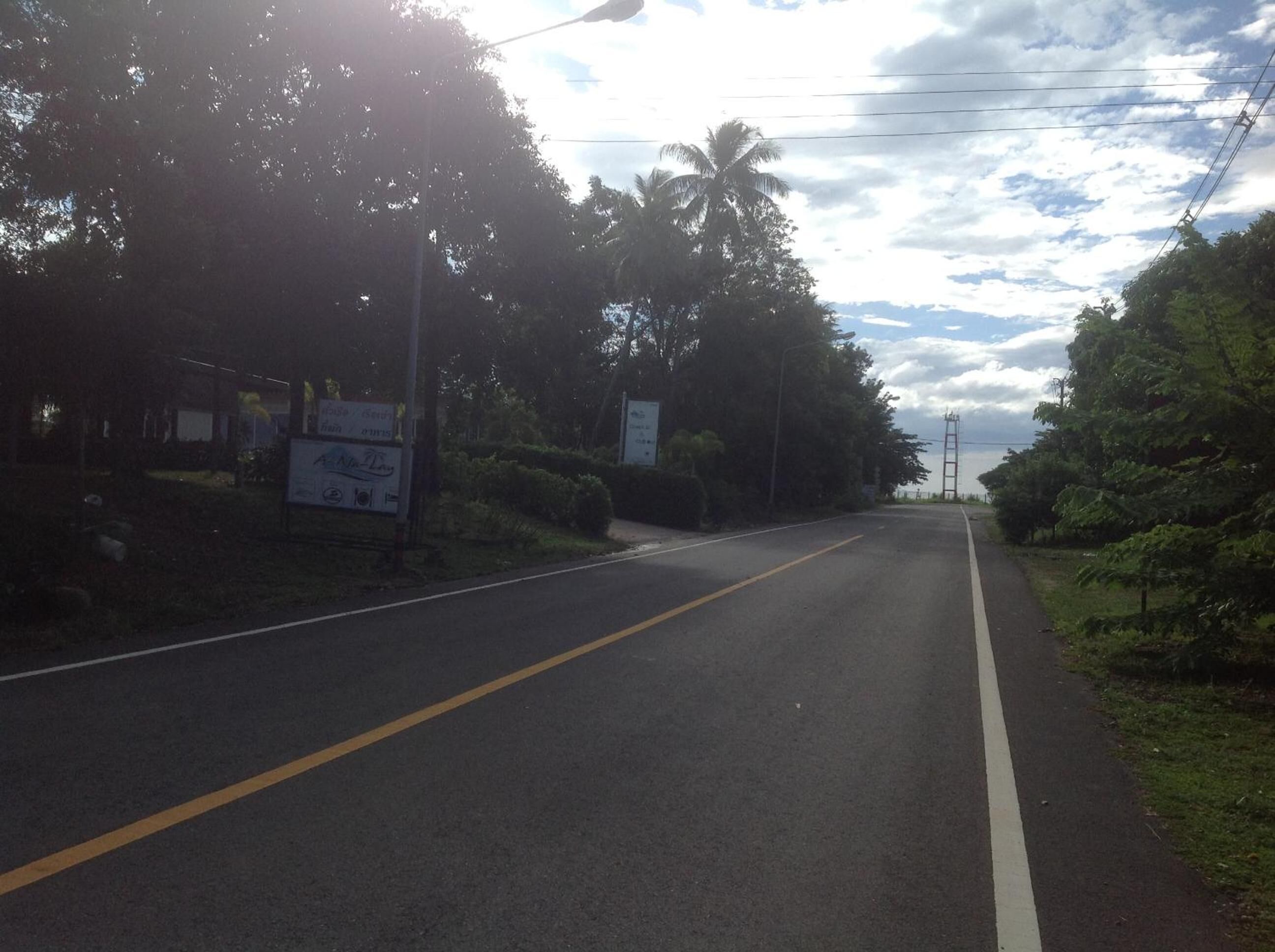 A road with a yellow center line, surrounded by greenery and palm trees.