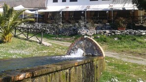 Una fuente rústica al aire libre con un cuenco de piedra y una estructura de madera.