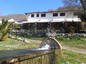 Fountain
