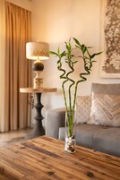 Smart TV 32 pulgadas con canales de televisión vía satélite, televisión