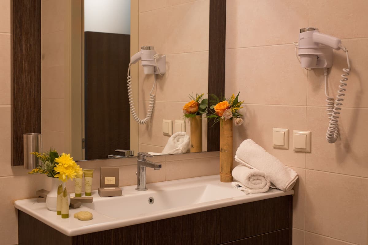 shower, rainfall showerhead, free toiletries, hair dryer