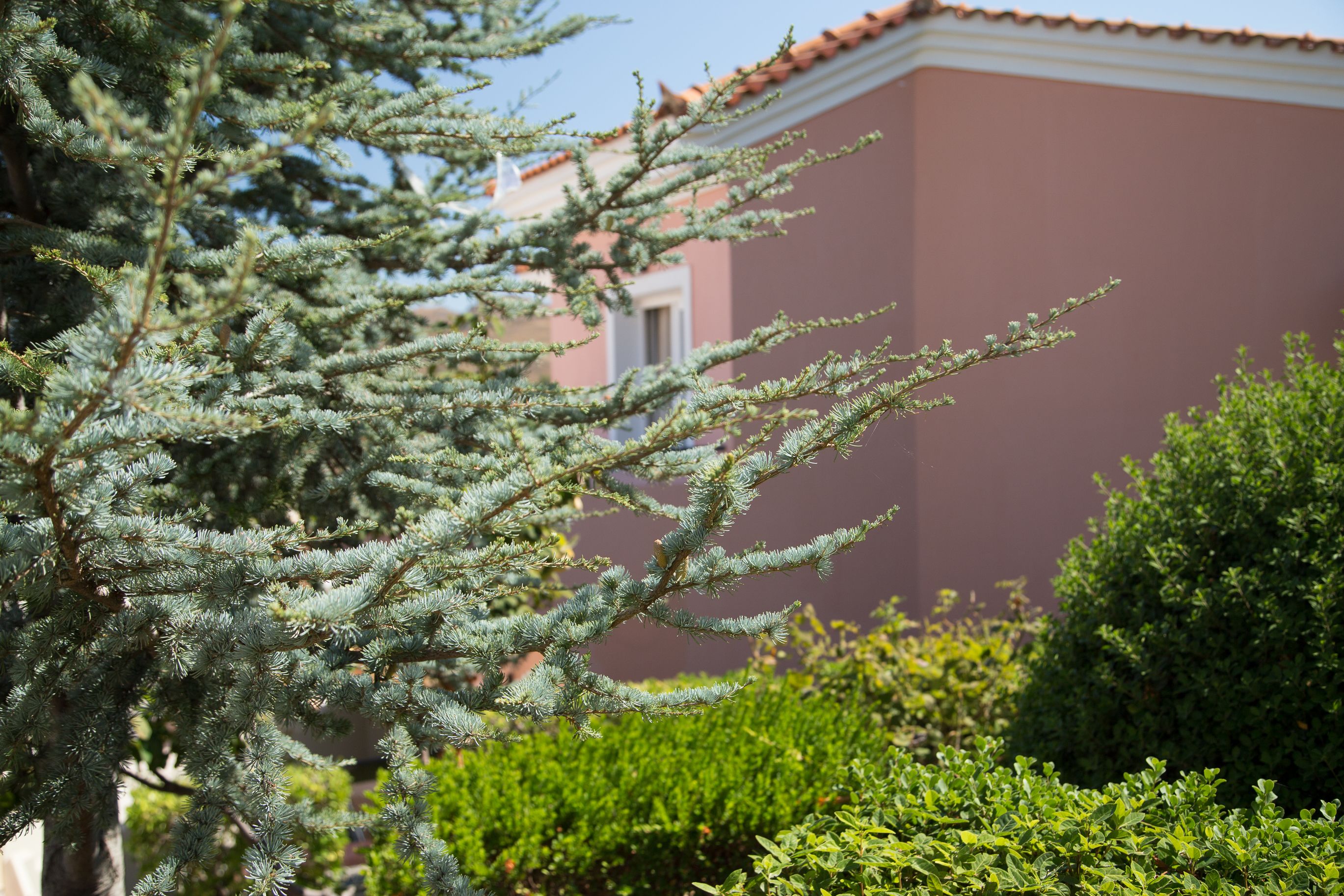 family room, sea view, poolside | beach/ocean view