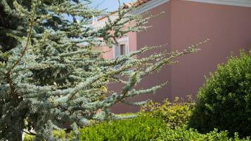 A close-up of a coniferous tree with dense foliage in front of a building with a red-tiled roof.