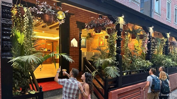 L’entrée d’un hôtel, avec un tapis rouge, des plantes en pot et un escalier menant au hall d’accueil.