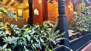 Un bâtiment en briques doté d’une grande fenêtre et d’une porte, entouré d’une végétation luxuriante et de plantes suspendues.