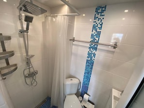 A bathroom with a shower, toilet, and a blue mosaic tile design on the wall.