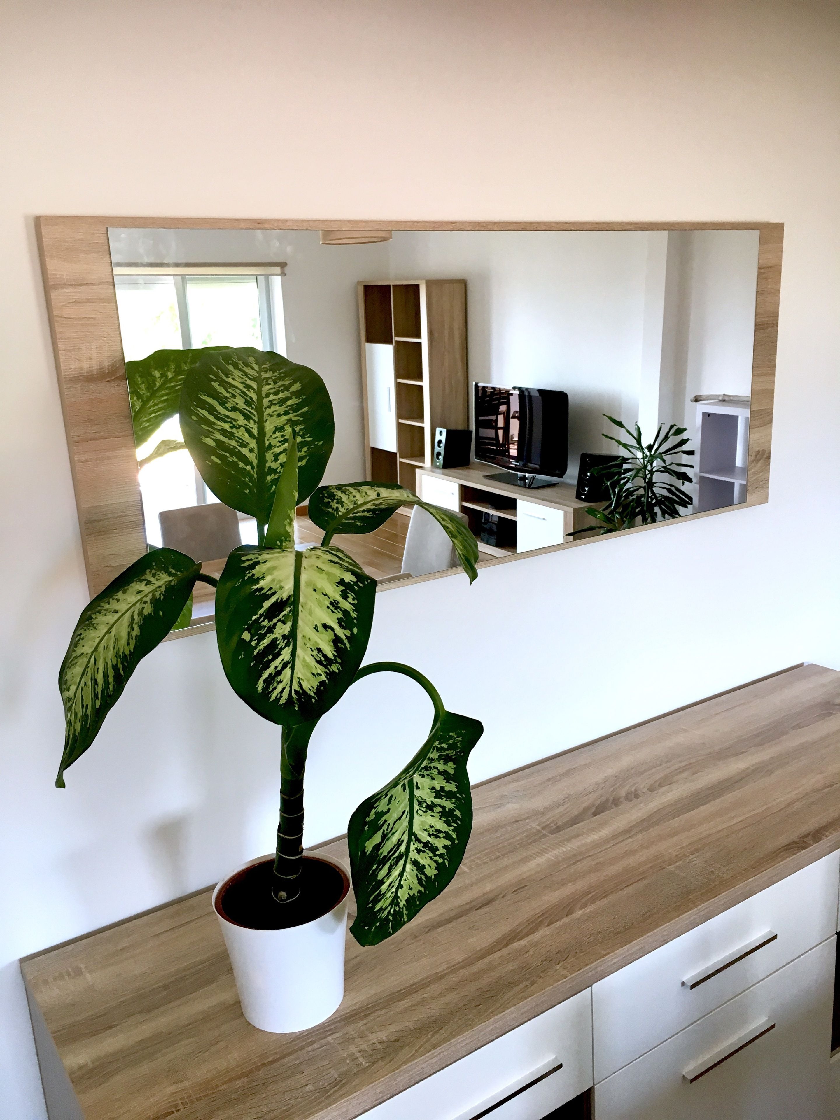 Una habitación moderna con un tocador de madera, una planta en maceta, un televisor y un espejo en la pared.
