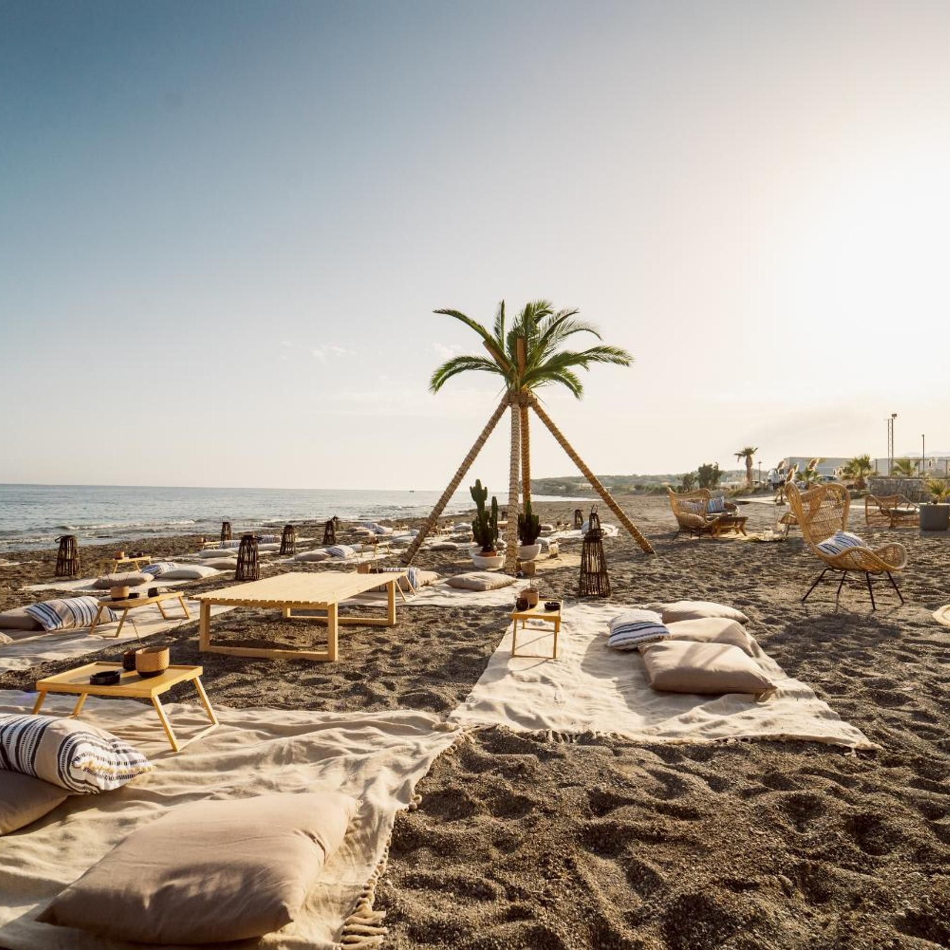 Una spiaggia con lettini, sdraio e una palma.
