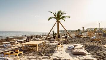 Una spiaggia con lettini, sdraio e una palma.