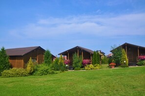A row of wooden cabins with a grassy lawn and flowering shrubs in front. - Duet Domki (Postomino)