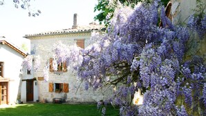 Un bâtiment en pierre doté d’un jardin et agrémenté de fleurs violettes.