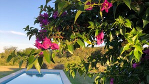 A swimming pool surrounded by lush greenery and vibrant pink flowers.