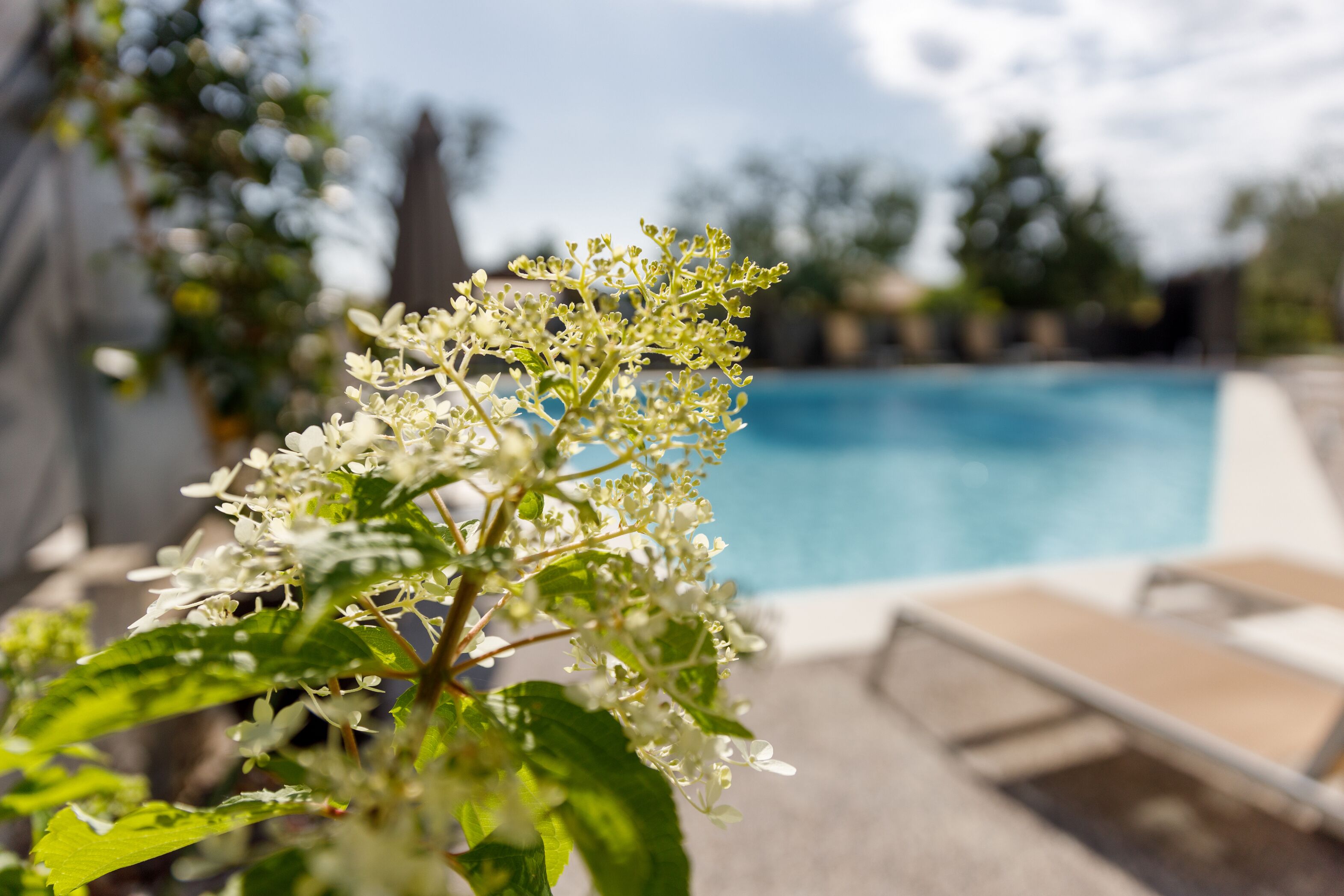 Piscine extérieure (ouverte en saison)