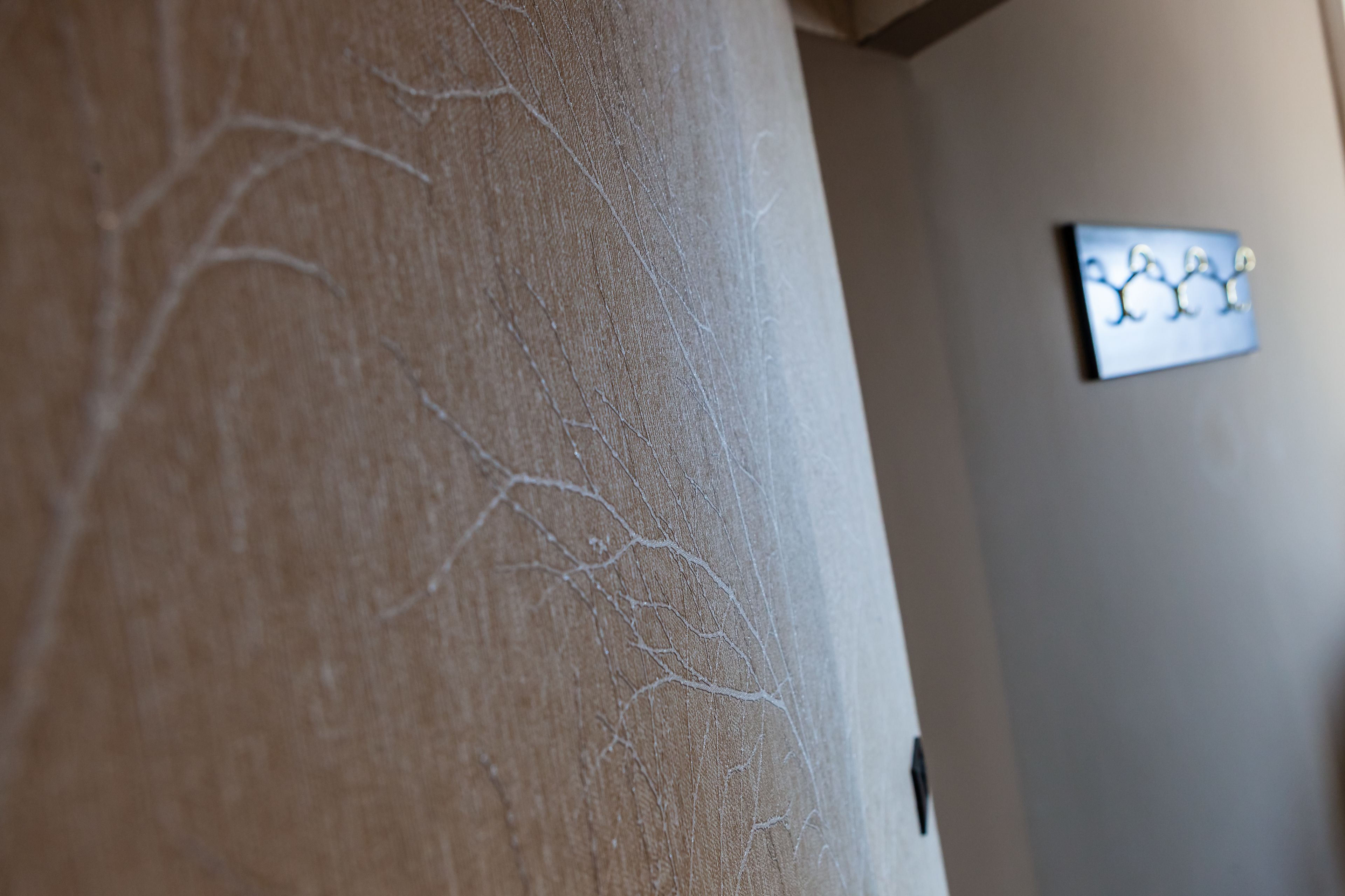 Ein Detailaufnahme einer strukturierten Wand mit einem deutlichen Riss.