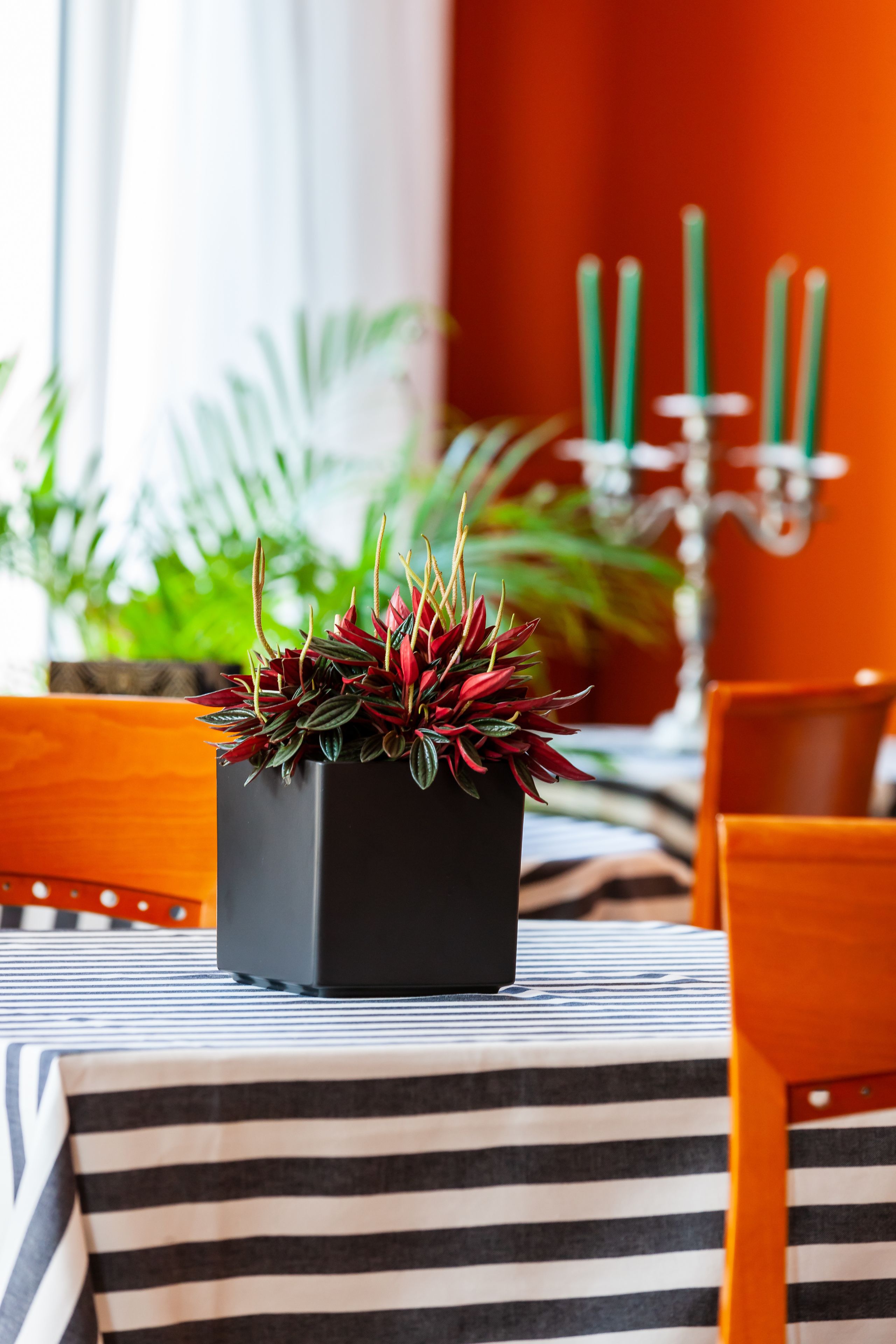 Foto - Art Hotel Ventaglio