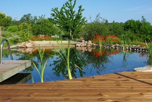 Außenpool, Naturpool, Liegestühle