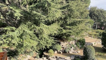 Vista desde la habitación