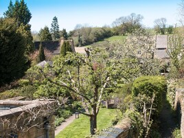 A garden with stone walls, a pathway, and various trees.