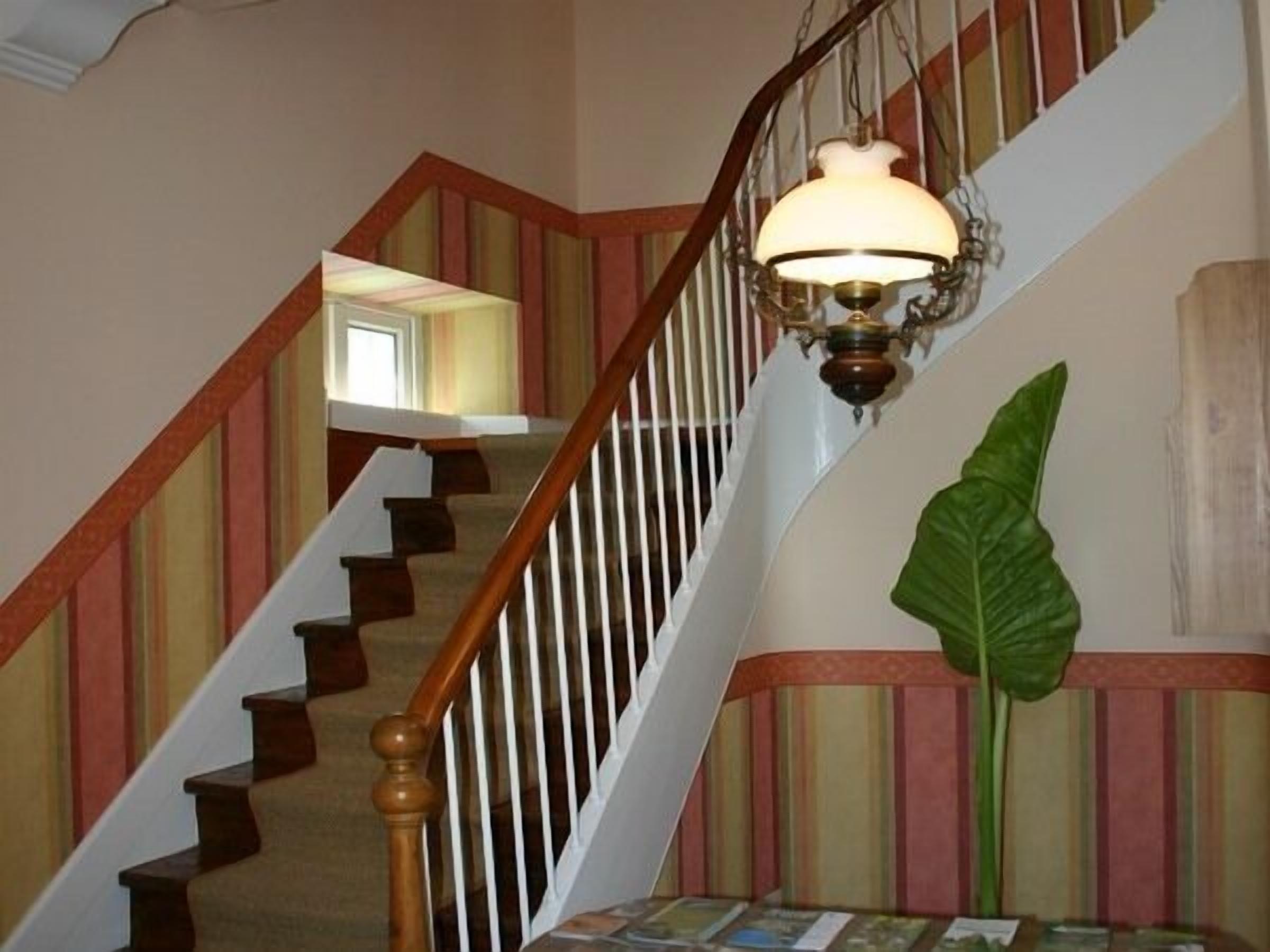 A staircase with a wooden handrail and white balusters, a hanging light fixture, and a large green plant.